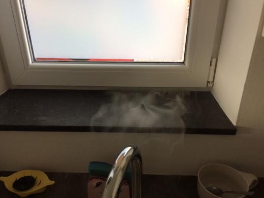 Geurdetectie Geurdetectie